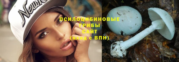 стаф Абинск