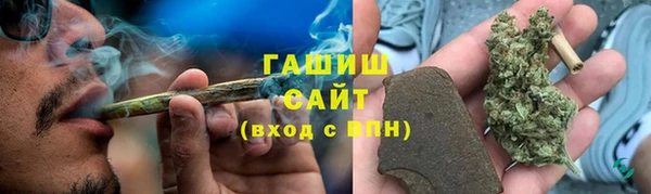 индика Надым