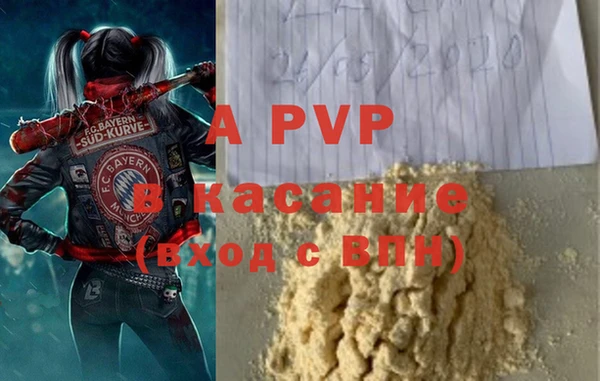 стаф Абинск
