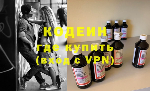 индика Надым