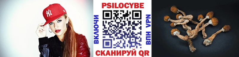 Псилоцибиновые грибы ЛСД  Новоалександровск 
